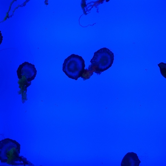 Meet your Posher, Regina - Picture 1 of 1